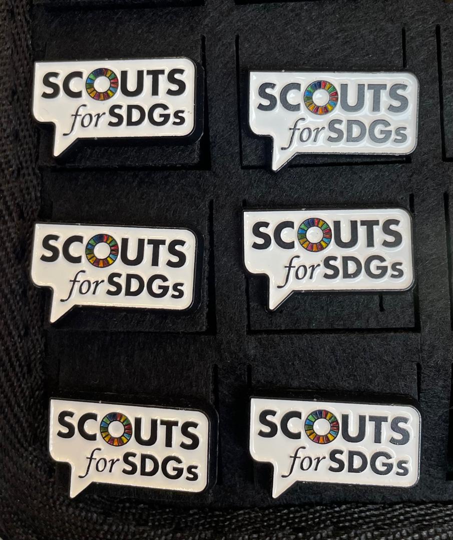 Lapel Scout SDGs (Scouts)